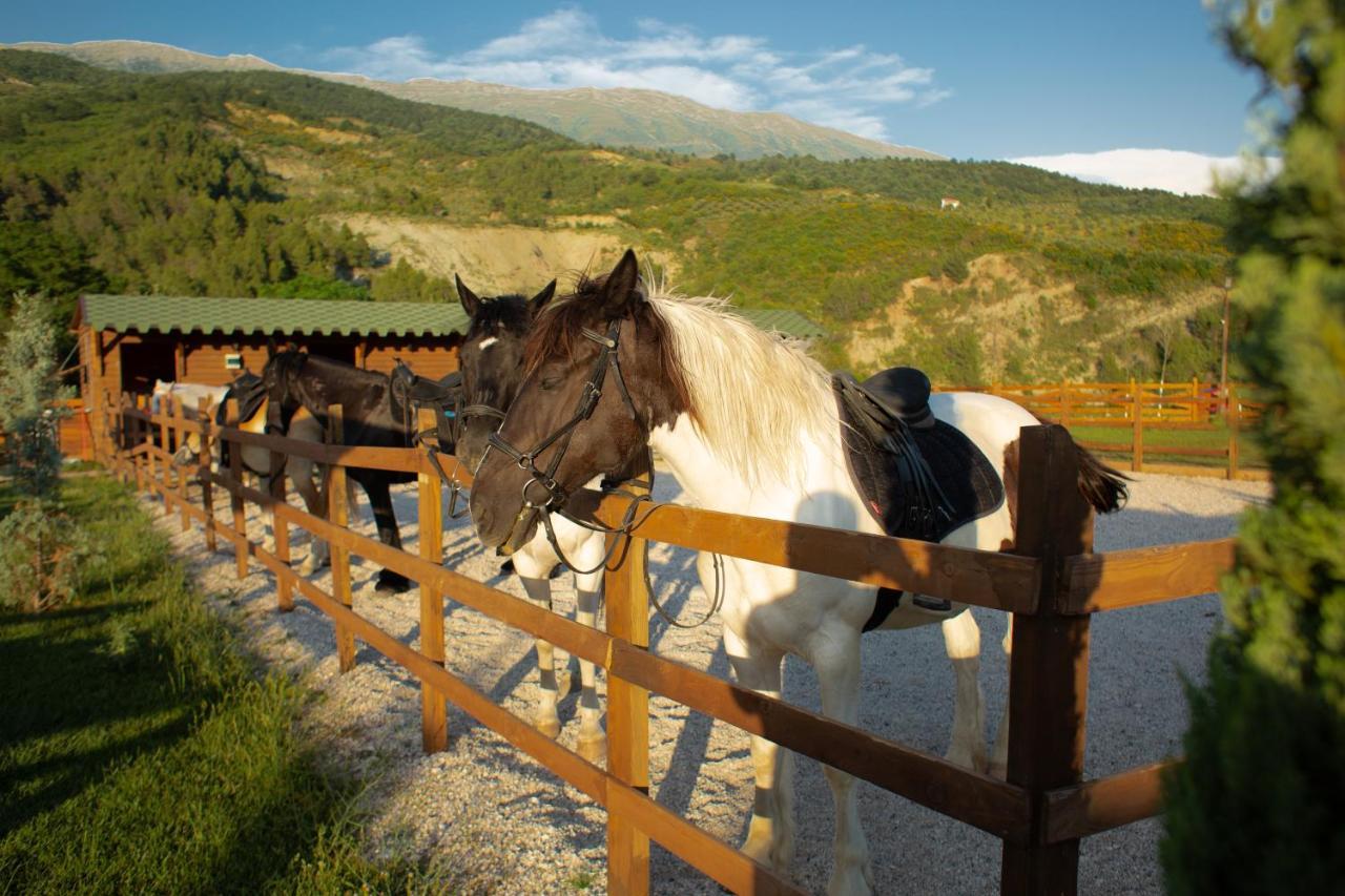 Memaliaj Sancho Farm Albania 빌라 외부 사진