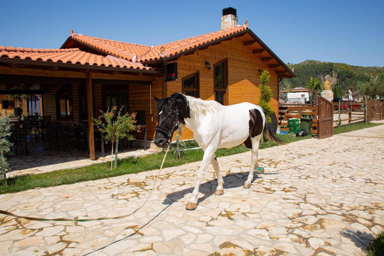 Memaliaj Sancho Farm Albania 빌라 외부 사진