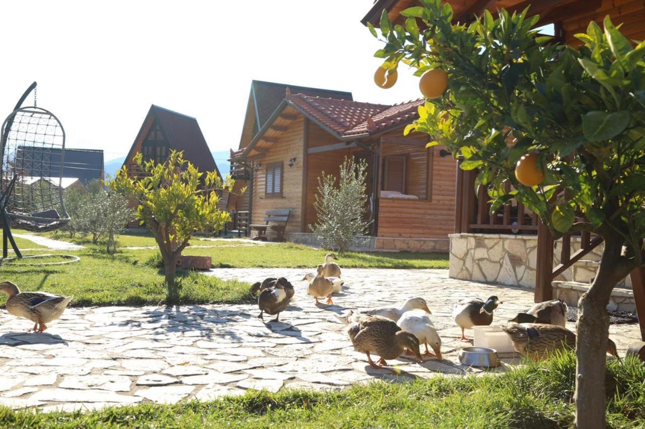 Memaliaj Sancho Farm Albania 빌라 외부 사진
