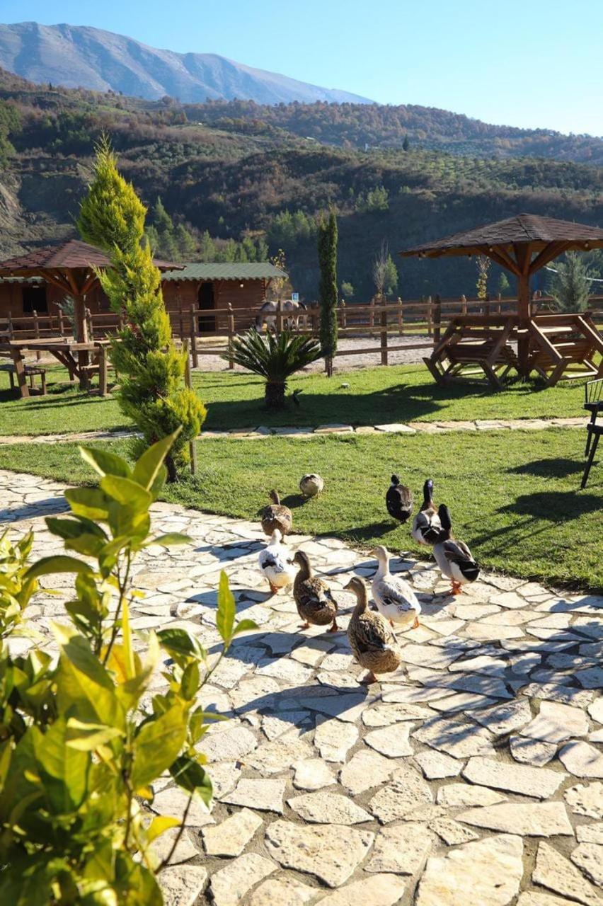 Memaliaj Sancho Farm Albania 빌라 외부 사진